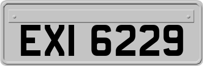 EXI6229