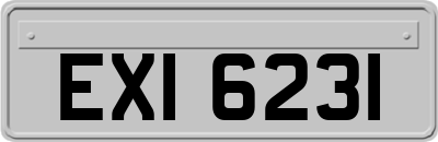 EXI6231