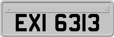 EXI6313