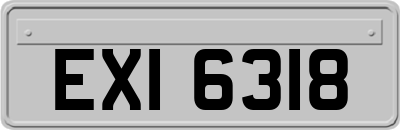 EXI6318