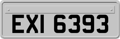 EXI6393