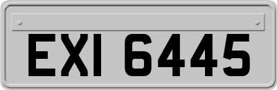 EXI6445