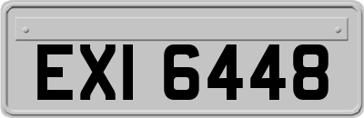 EXI6448
