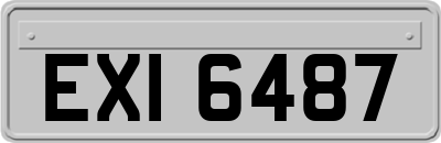 EXI6487