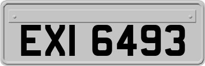 EXI6493