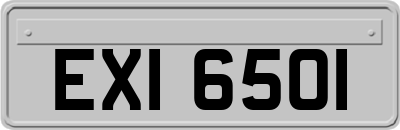 EXI6501