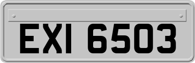 EXI6503