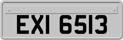 EXI6513