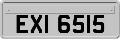 EXI6515