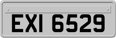 EXI6529