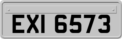 EXI6573