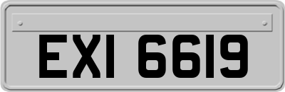 EXI6619