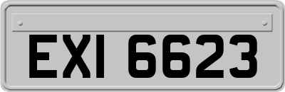 EXI6623