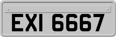 EXI6667
