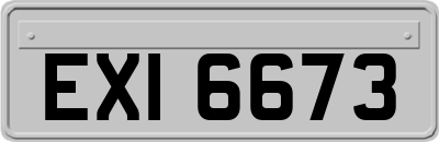 EXI6673