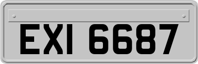 EXI6687