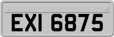EXI6875
