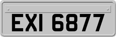 EXI6877