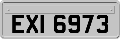 EXI6973