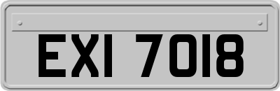 EXI7018