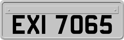 EXI7065