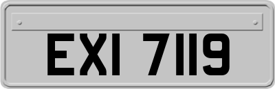 EXI7119