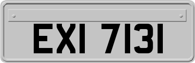 EXI7131