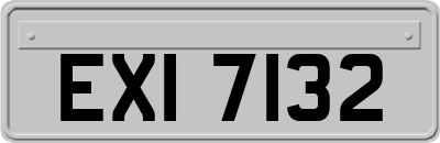EXI7132