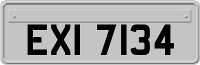 EXI7134