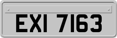 EXI7163