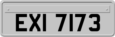 EXI7173