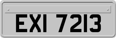 EXI7213