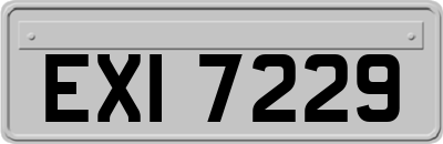 EXI7229