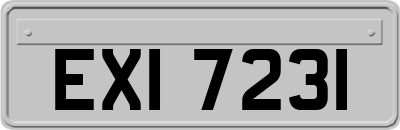 EXI7231
