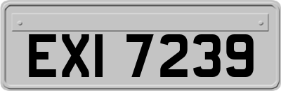 EXI7239