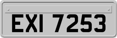 EXI7253