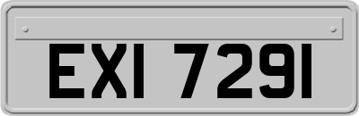 EXI7291