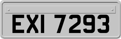 EXI7293
