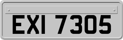EXI7305