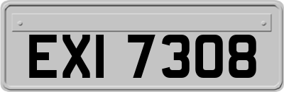 EXI7308