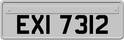 EXI7312