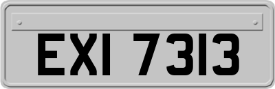 EXI7313
