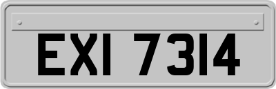 EXI7314