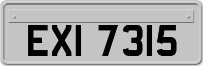 EXI7315