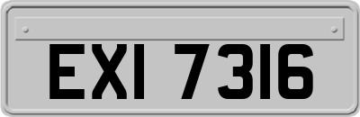EXI7316