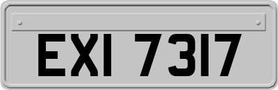 EXI7317