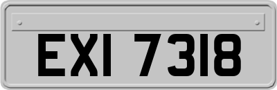 EXI7318
