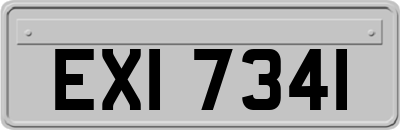 EXI7341