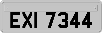EXI7344