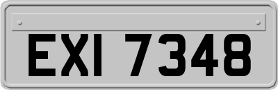 EXI7348